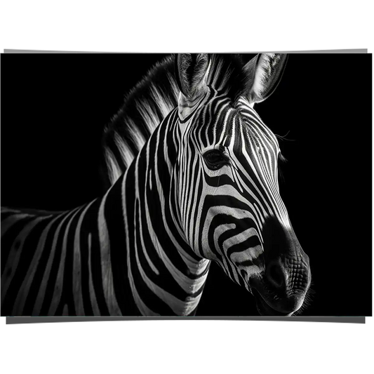 The Stripes of a Zebra