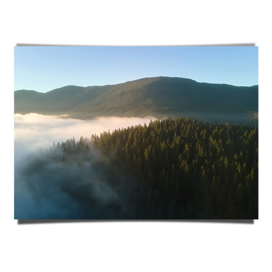 Aerial View Foggy Morning