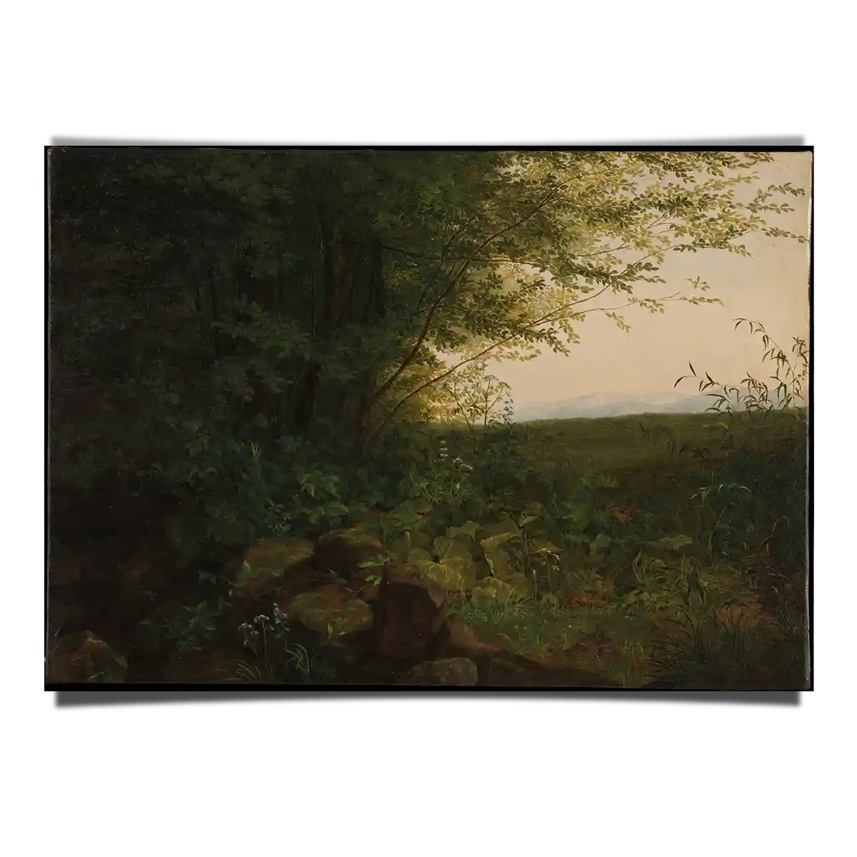 At The Edge Of The Forest by August Friedrich 1900