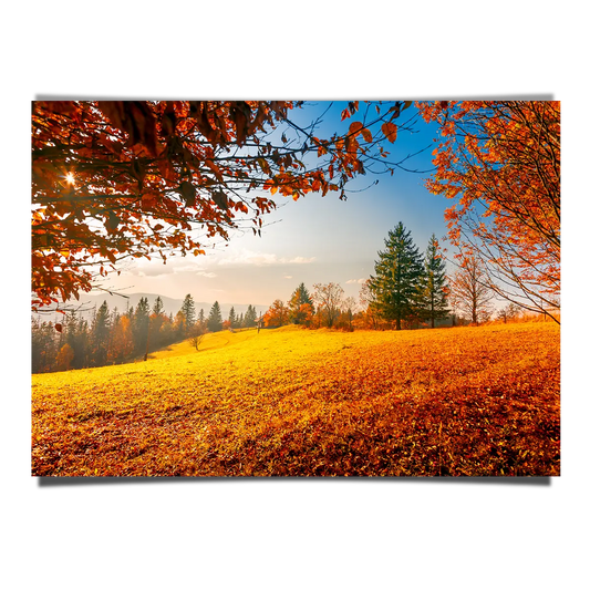 Autum Leaves on a Hilly Landscape