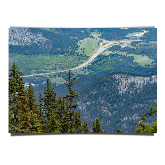 Banff Forest In Canada With Road View