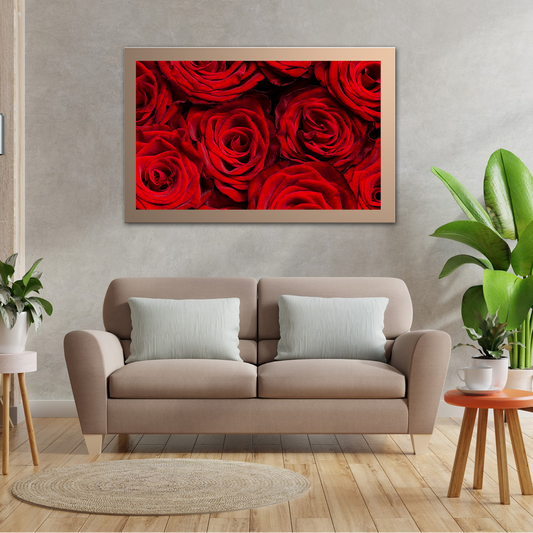 Beautiful Red Roses