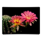 Blooming Loivia