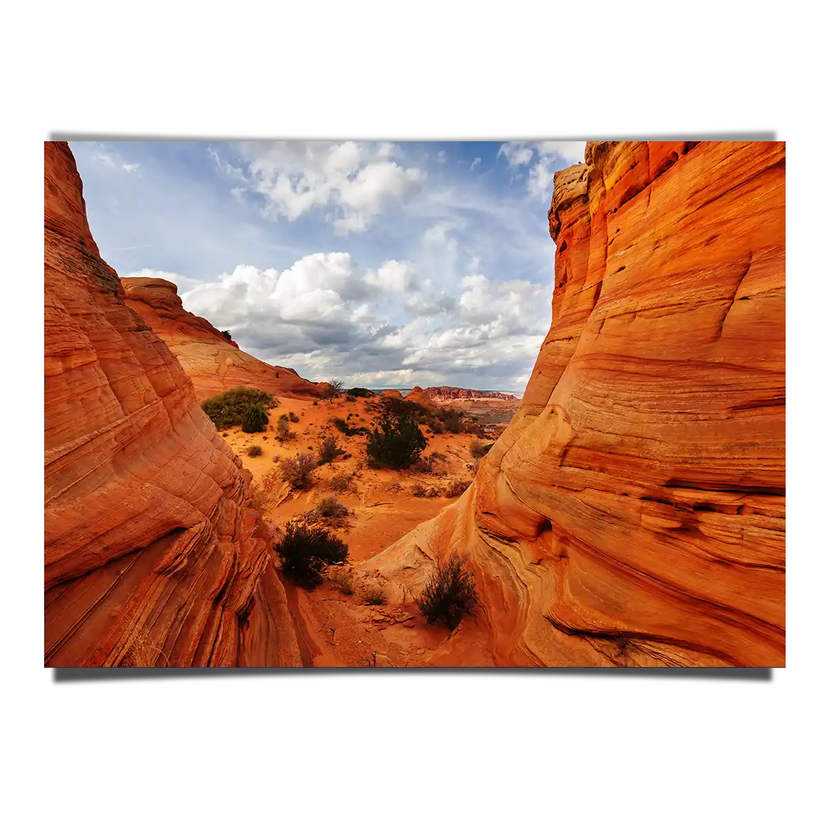 Coyote Buttes Vermillion Cliffs Utah Arizona
