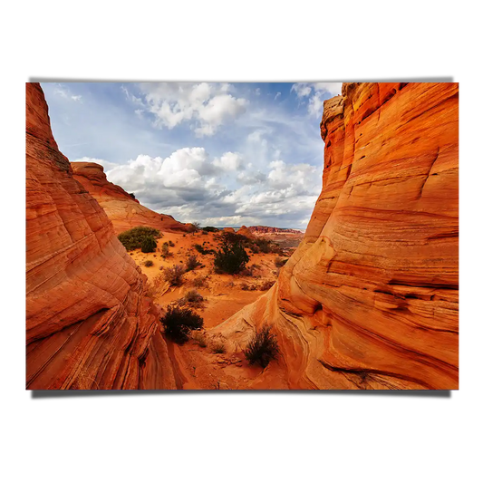 Coyote Buttes Vermillion Cliffs Utah Arizona