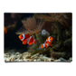 Cute Anemone Fish