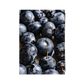 Delicious Blueberries