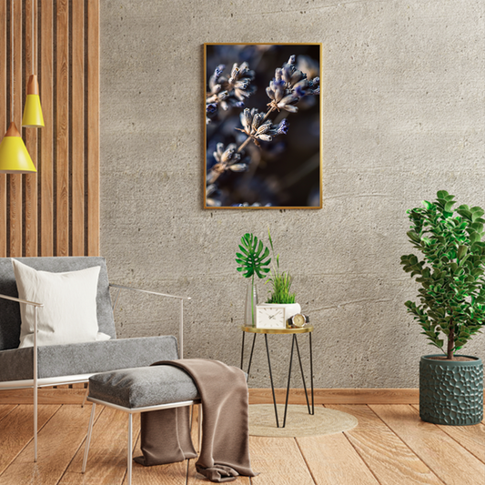 Dried Lavender