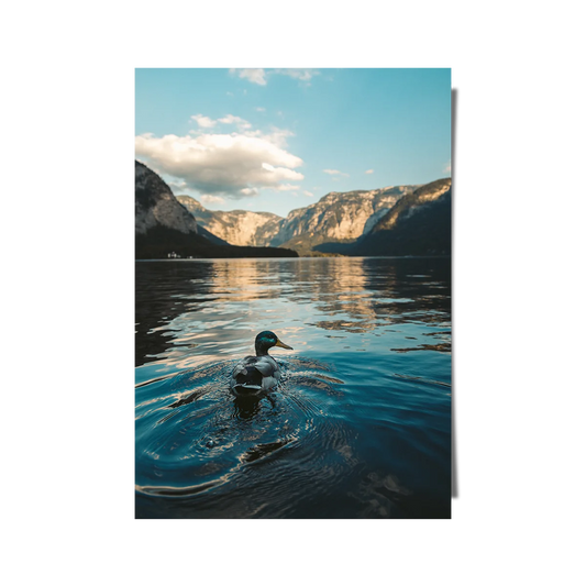 Duck On The Lake