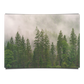 Foggy Forest