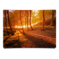 Forest Floor on Autumn Sun Rays