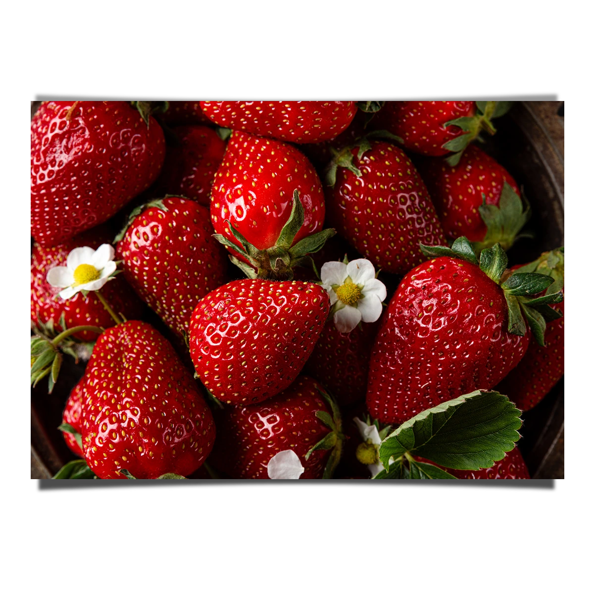Freshly Picked Strawberries