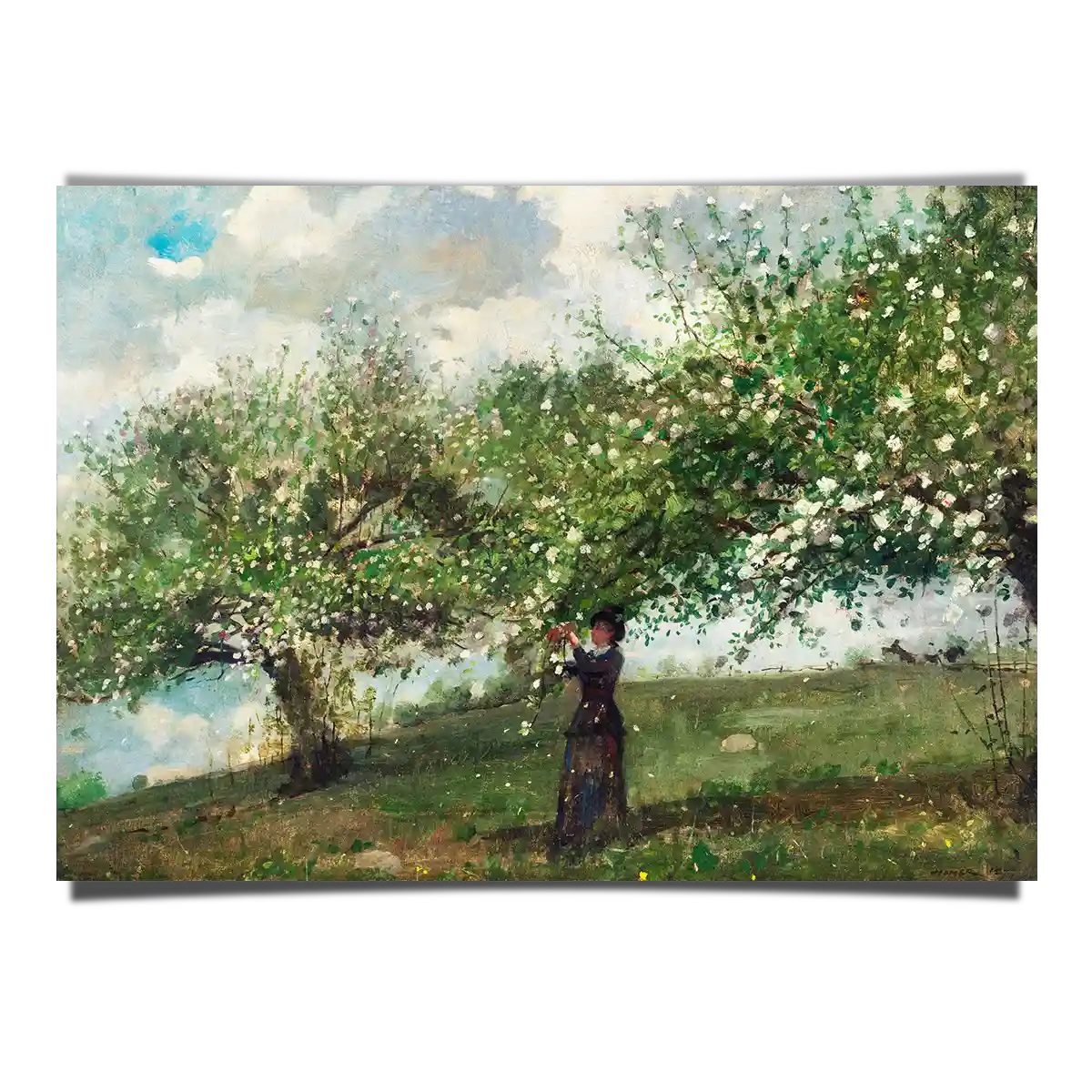 Girl Picking Apple Blossoms by Winslow Homer 1879
