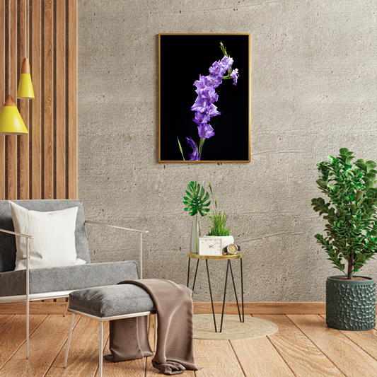 Gladiolus Flower
