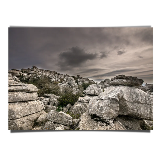 Gray Rocks