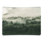 High Angle Shot Of Forest In New Zealand
