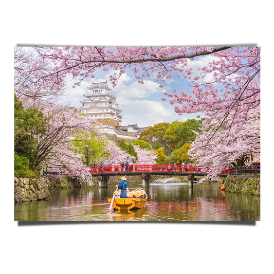 Himeji Castle Reflecting at the River with Cherry Blossom at Spring in Japan