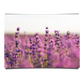 Lavender Field