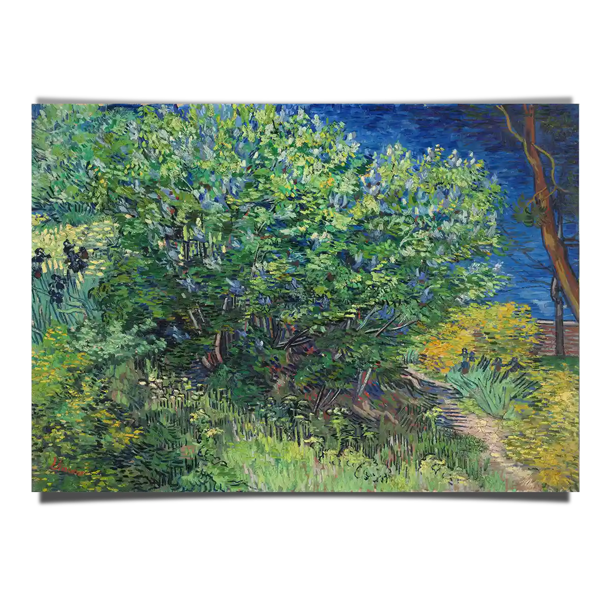 Lila Bush by Vincent Van Gogh 1889