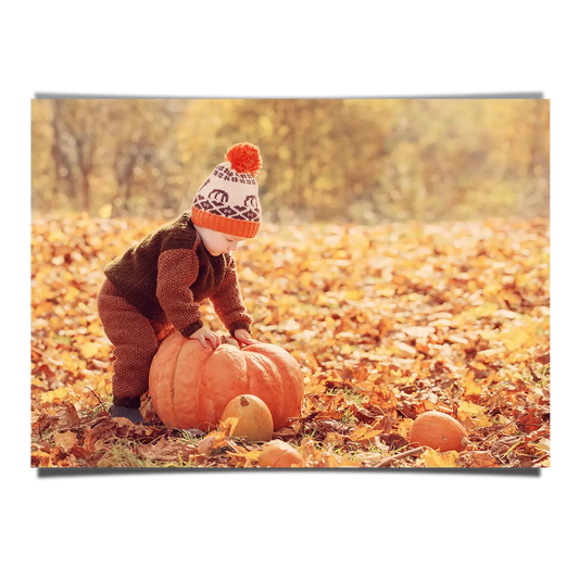 Little Boy Harvesting Orange Pumpkin in Autumn Leaves