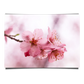 Macro Shot Of Cherry Blossoms