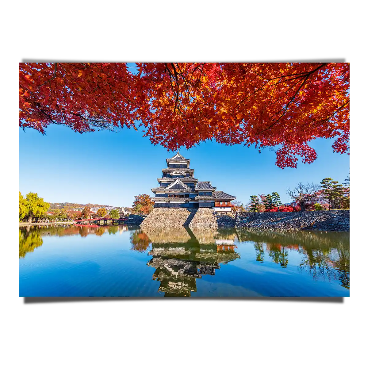 Matsumoto Castle with Maple Leaves at Autumn Reflecting on Water in Nagano Japan