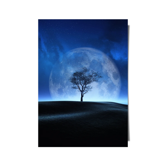 Midnight Moon
