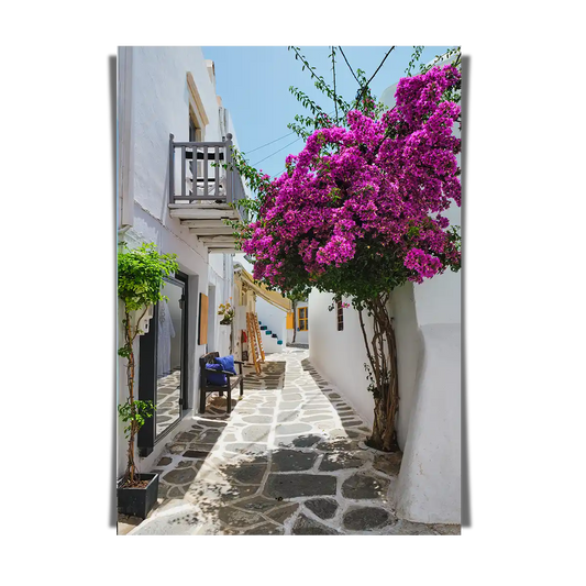 Naousa Town Street with Red Bugambilia Paros Island Greece