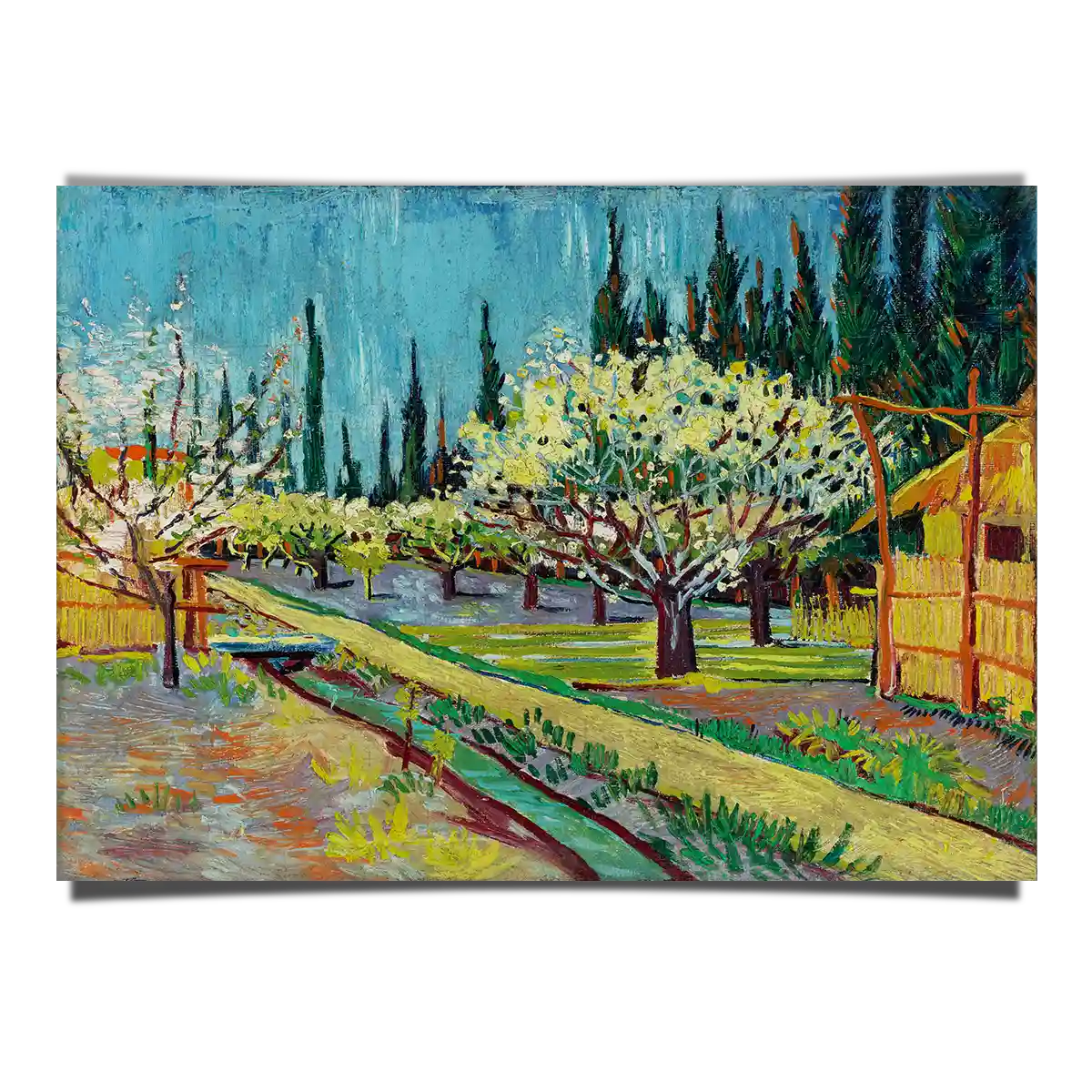 Orchard Bordered By Cypresses by Vincent Van Gogh 1888