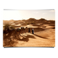 People Walking Their Camels in Sahara Desert