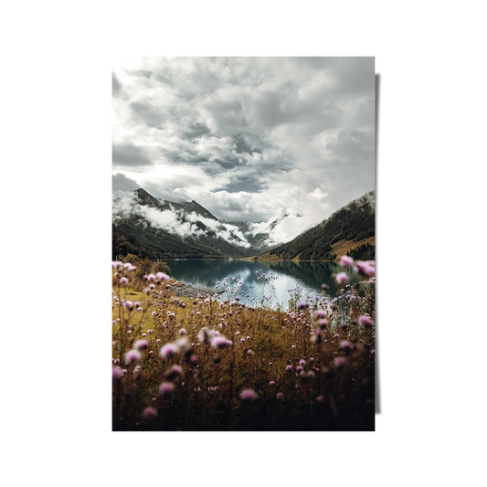 Pink Flower Near Mountain