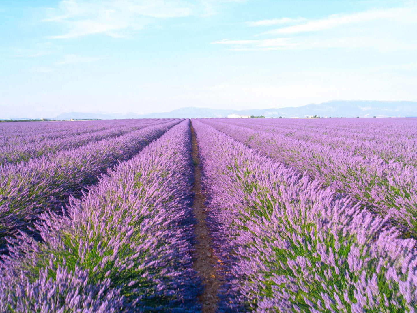 Landscape photography prints