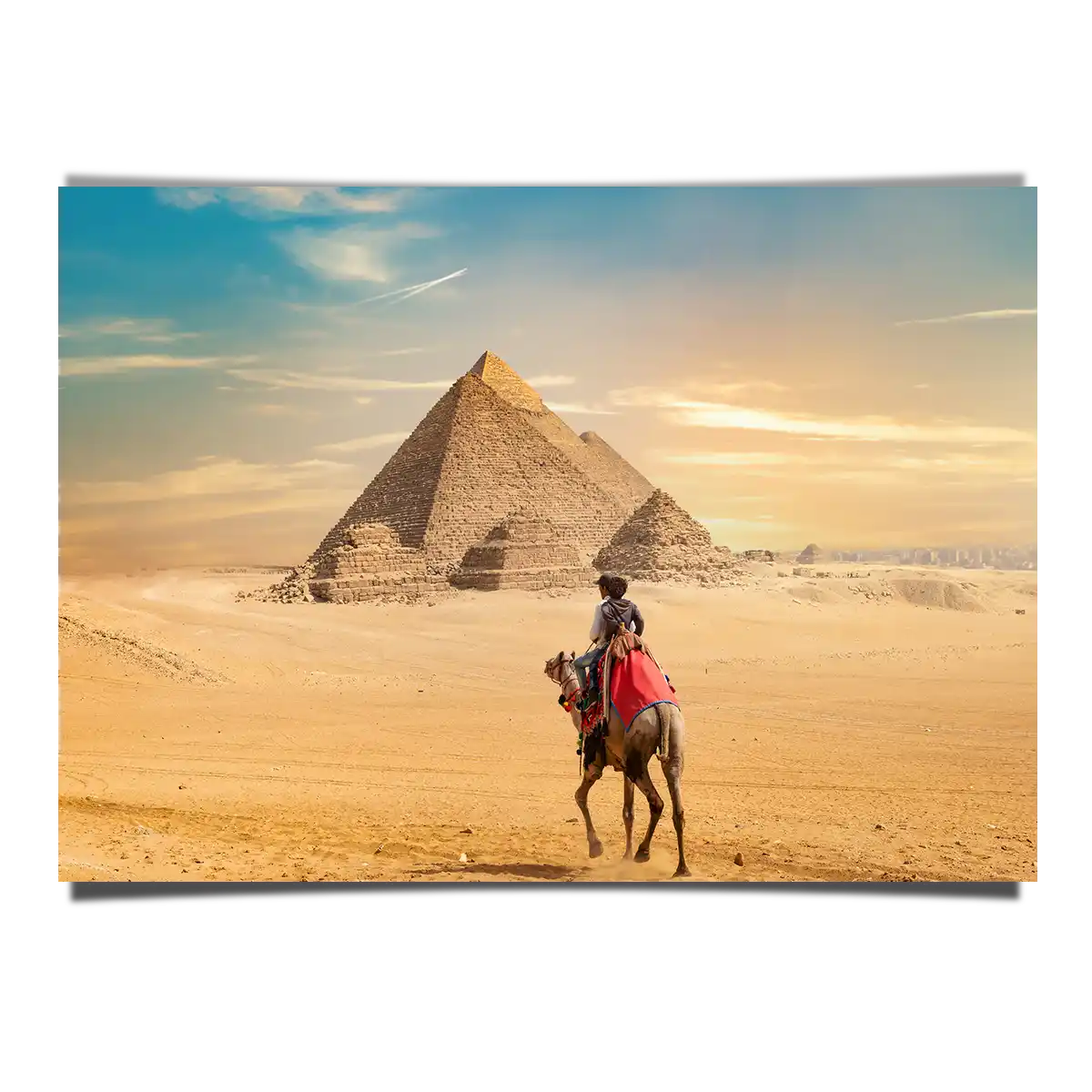The Great Pyramid of Giza Egypt with Camel Foreground
