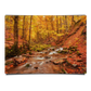 Rapid Mountain Creek in Autumn Forest Floor