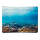 Underwater Coral Reef Red Sea