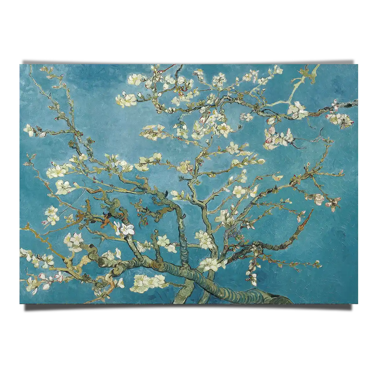 Almond Blossom by Vincent Van Gogh 1890