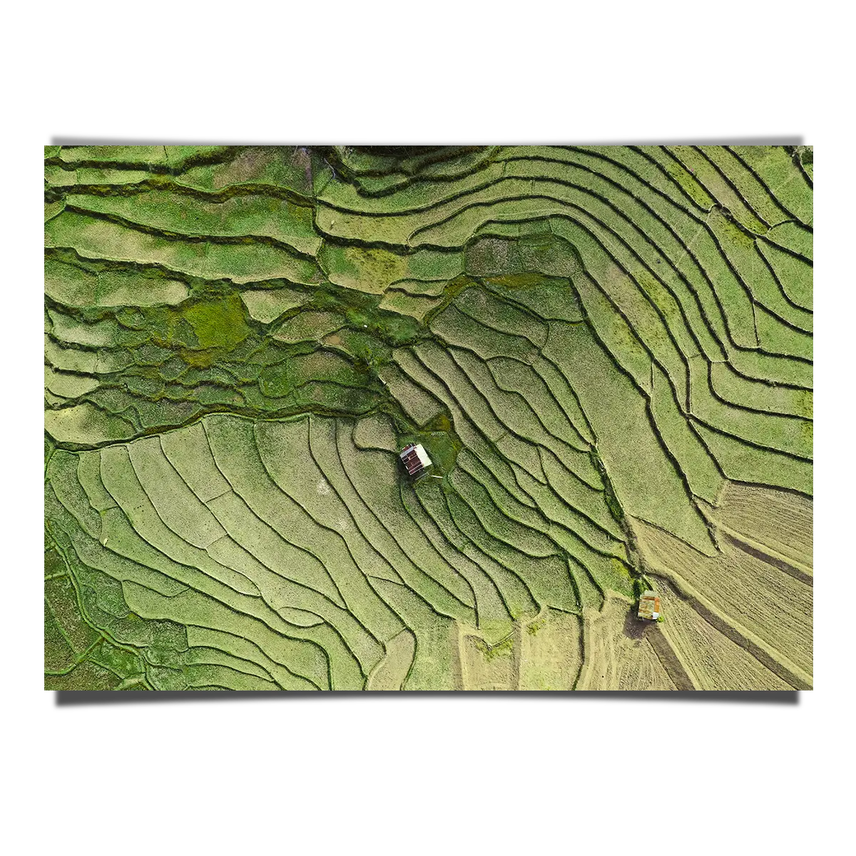 Wat Ban Wen Rice Fields in Nan Province
