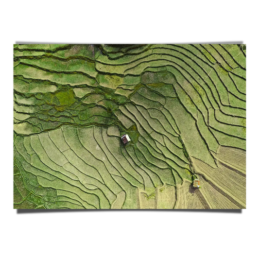 Wat Ban Wen Rice Fields in Nan Province
