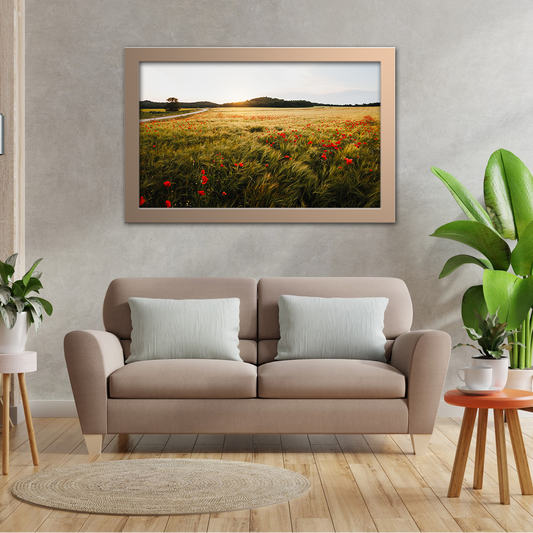 Wide Poppy Field