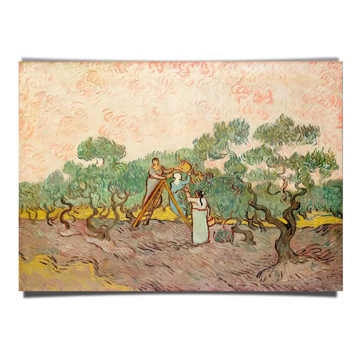 Women Picking Olives by Vincent Van Gogh 1889