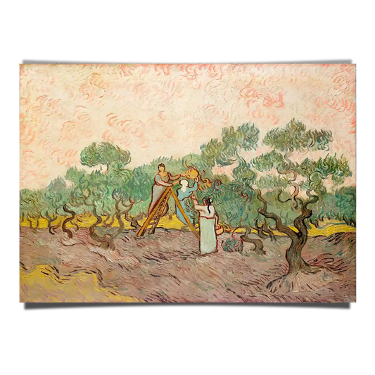 Women Picking Olives by Vincent Van Gogh 1889